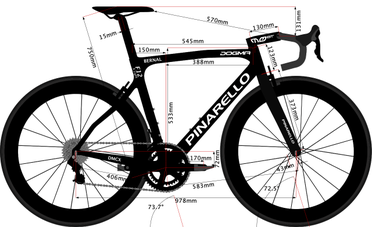 Pinarello dogma 2025 f8 size guide