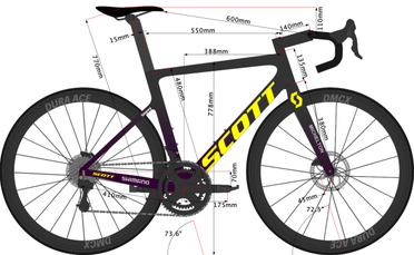 Daryl Impey s 2020 Bike size DMCX