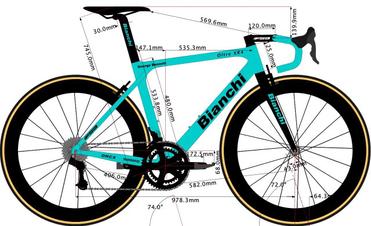 Bianchi road bike size guide shop