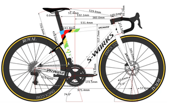 Specialized bike sizing 2025