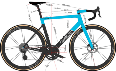 Vincenzo nibali bike store size
