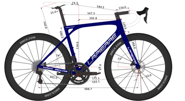 Thibaut shop pinot bike