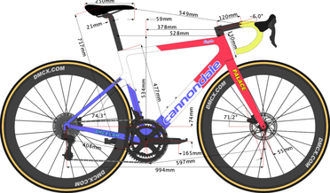 Rigoberto Uran s 2022 Bike Size DMCX
