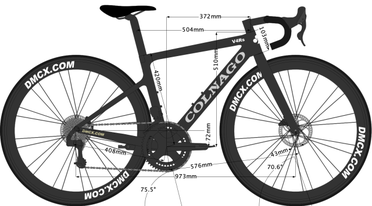 Colnago sizing hotsell