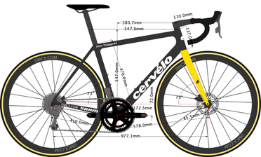 Julian alaphilippe outlet bike size