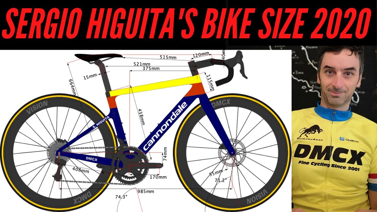 Specialized venge size discount chart