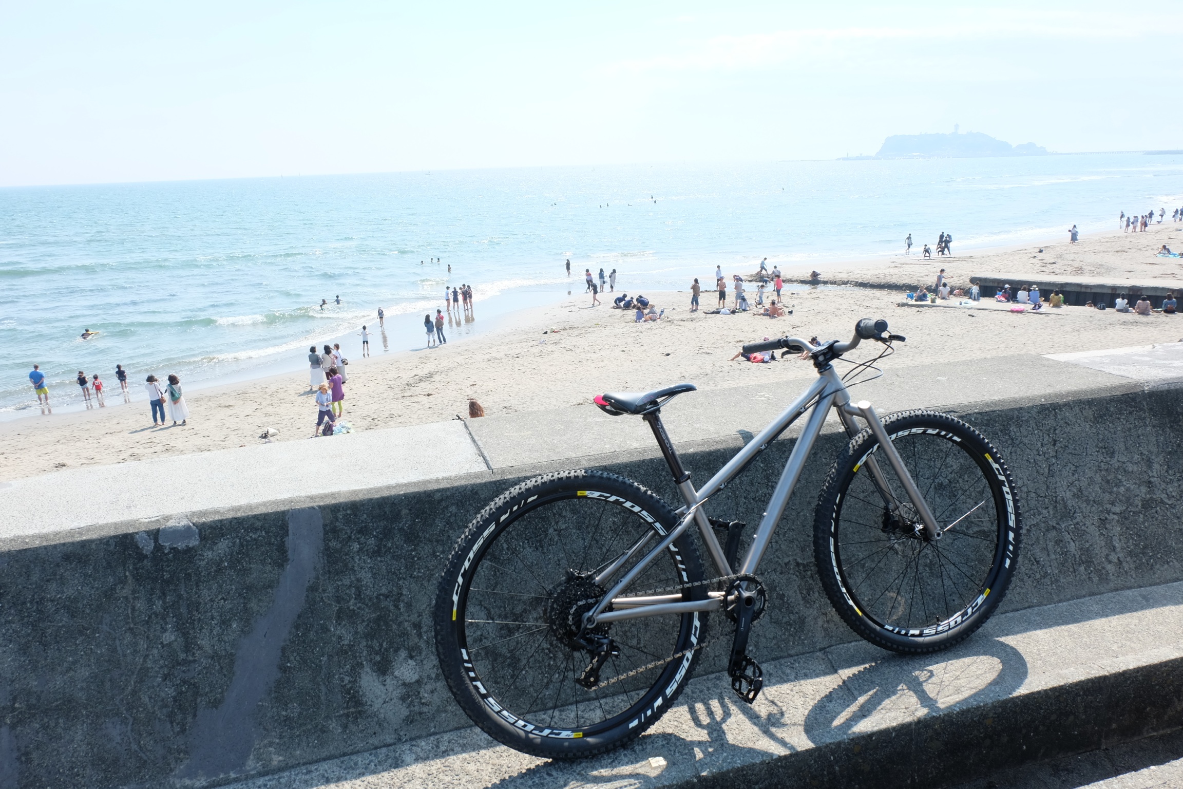 DMCX Rodeo (650B Ti Trail MTB)
