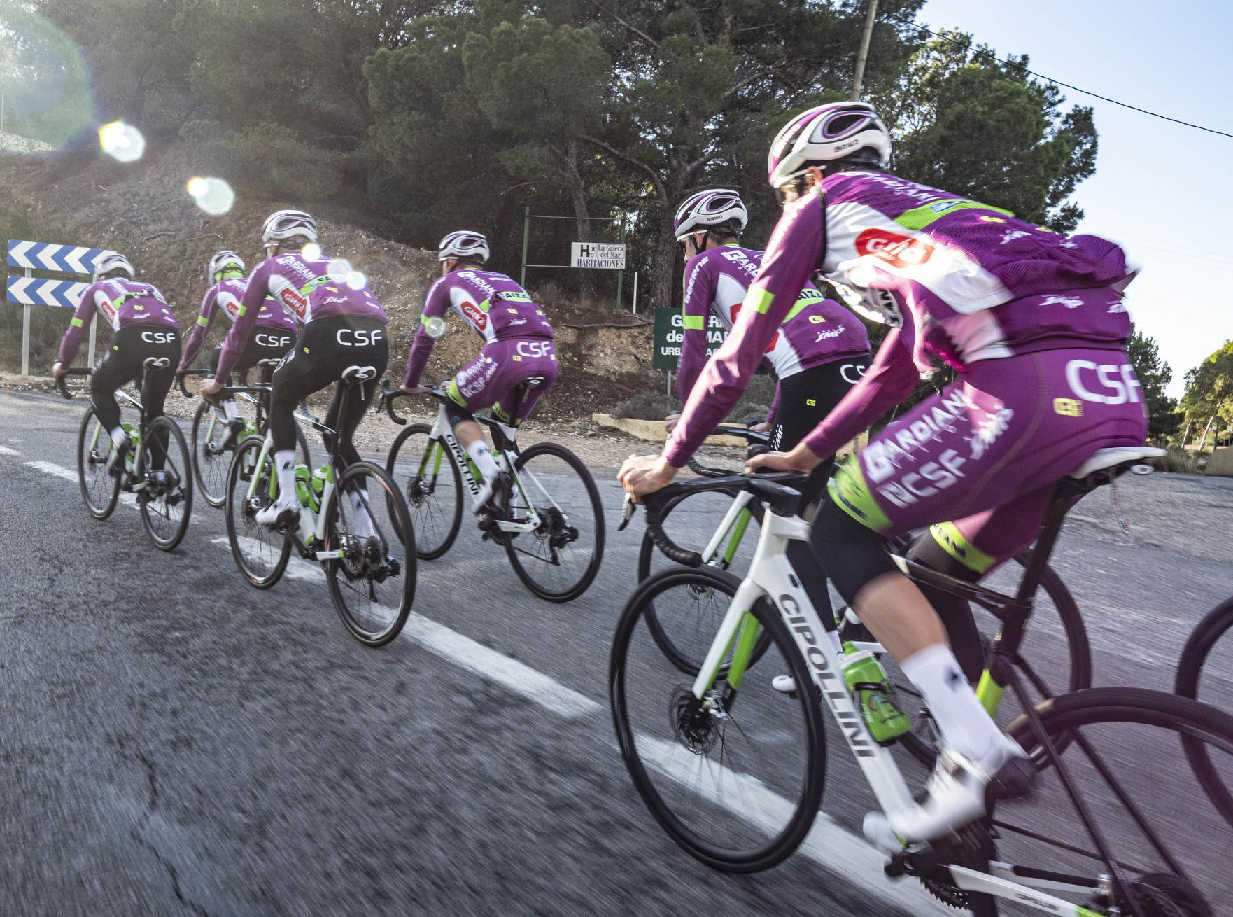 Bardiani CSF Faizanè 2022 Team & Bikes